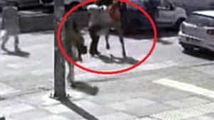 Kadına Şiddet Olayı: Trafik Sıkıntısı ve Yaya Geçidinde Yaşanan Darbe