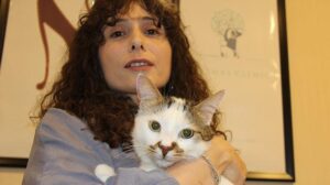 Kedilerde Stres ve Depresyon: Paşa’nın Hikayesi ve Tedavi Süreci