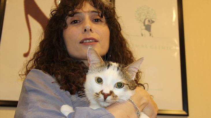 Kedilerde Stres ve Depresyon: Paşa’nın Hikayesi ve Tedavi Süreci