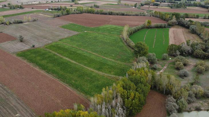 Kiralanabilir İşlenmemiş Tarım Arazileri: Bakanlık Başvuru ve Uygulama Kılavuzu