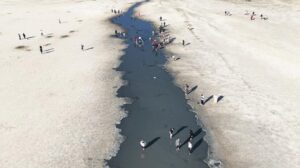 Konya’daki Su Kaynakları ve Obruk Riskleri: DSİ’nin Rehabilitasyon Projeleri ve Dijital Harita Çalışmaları