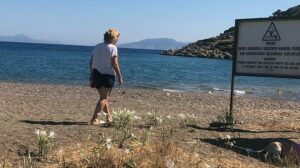 Kum Zambağı: Nesli Tehlikedeki Çiçek İçin Uyarı ve Cezai Hüküm