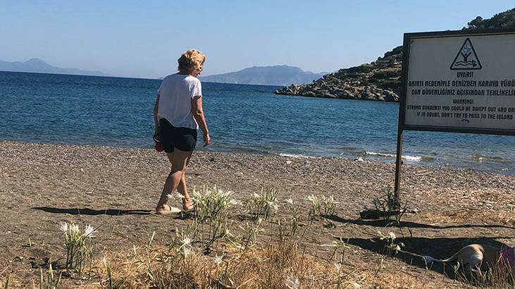 Kum Zambağı: Nesli Tehlikedeki Çiçek İçin Uyarı ve Cezai Hüküm