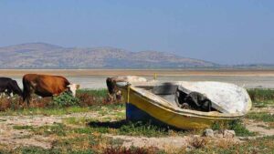 Kuraklıkla Mücadelede Stratejik Adımlar: Su Yönetimi ve Arıtılmış Atık Su Kullanımı