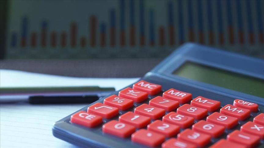 Küresel Borç Dinamikleri ve Gelişmiş Piyasaların Borç Yapısı Üzerindeki Etkileri