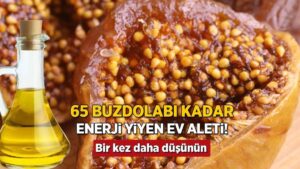 Kuru İncir: Doğal Destekçi Besinler ve Suyla Gelen Şifalar