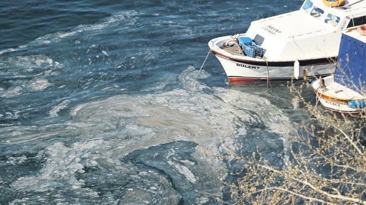 Marmara Denizi’nde Müsilaj Alarmı: Hızlı Yayılım ve Acil Müdahale Çağrısı