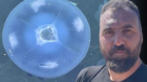 Marmara’da Müsilaj ve Denizanası Sorunu: Balıkçılar Devam Eden Mücadele