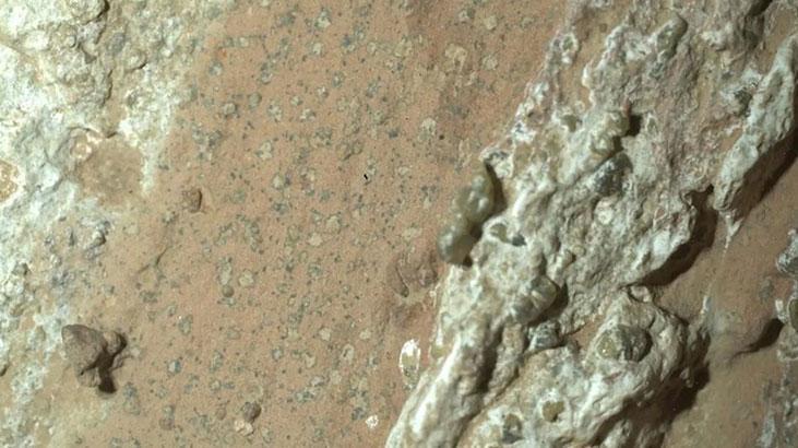 Mars’ta Yaşam İzleri: Leopar Desenli Benekler ve Mikrobiyal Aktivite Üzerine NASA Açıklaması