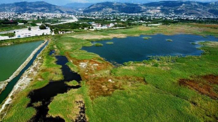 Milleyha Sulak Alanı ve Çevreyi Koruma Hamlesi: Doğal Sit Kararıyla Güçlenen Koruma