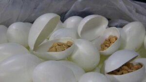 MİT ve Polis Ekipleriyle Yürütülen Uyuşturucu Operasyonunda Büyük Ele Geçirme