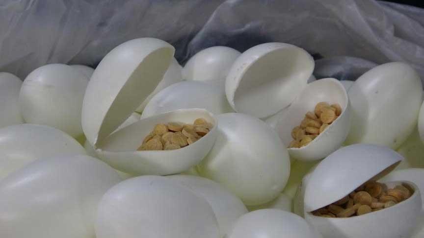 MİT ve Polis Ekipleriyle Yürütülen Uyuşturucu Operasyonunda Büyük Ele Geçirme