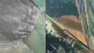 Müsilaj Krizi Tekirdağ Bölgesinde Başlangıç Noktasına Ulaştı: Balıkçıların Sezon Endişesi ve Marmara’nın Geleceği