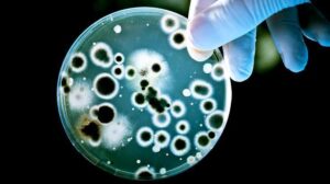 Okullardan Eve Taşınan Enfeksiyon Zinciri ve Aşının Önemi