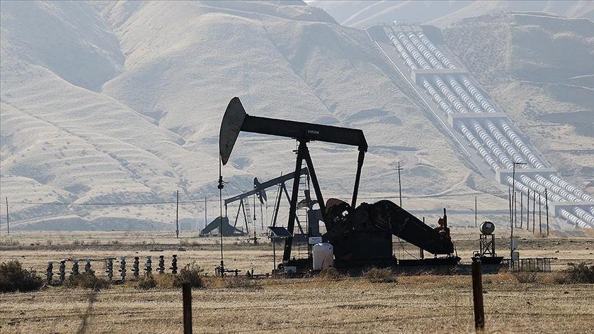 OPEC ve OPEC+ Üretim Değişimleri ile Küresel Talep Tahminleri – Ağustos Raporu Özeti