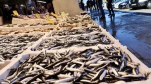 Ortahisar Balık Tezgahlarında Güncel Fiyatlar ve Sezon Değerlendirmesi