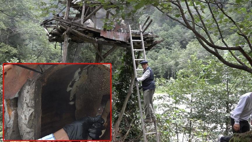 Rize Yaylalarında El Deşmeden Bal Hasadı: Karakovanlar ve Anzer Influences