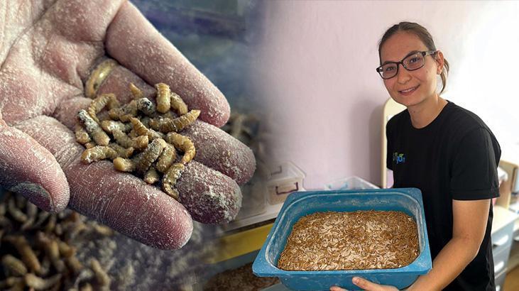 Simay Gün’ün Doğal Ürünlerle Süs Tavukçuluğunda Doğal Dönüşümü