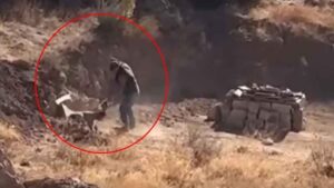 Sivas’ta Köpeğe Şiddet Olayı: Gözaltı ve Barınak Teslimi