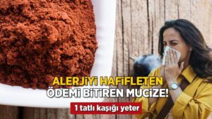 Siyah Üzüm Çekirdeği Tozunun Sağlık Olanakları: Doğal Destekleyen Güç