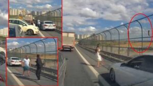 TEM Otoyolu’nda Trafik Kilidi: Kediyi Kurtarmaya Çalışan Kadın ve Sürücü Arasındaki Gerilim