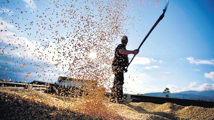 Temmuz Tarım-GFE Verilerinin Analizi: Aylık ve Yıllık Değişimlerin Detaylı Değerlendirmesi