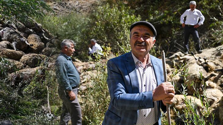 Tepelik yoldan geçen sürünün kaybı: 334 küçükbaş telef oldu