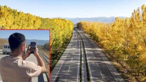 Tokat-Turhal Karayolunda Kavak Tüneli: Kesim Sonrası Hasret ve Değişim