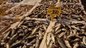 Trabzon ve Karadenizde Balıkçı Sezonu Başladı: İstavrit ve Mezgit Önde