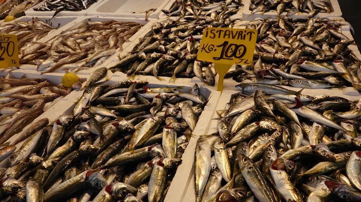 Trabzon ve Karadenizde Balıkçı Sezonu Başladı: İstavrit ve Mezgit Önde