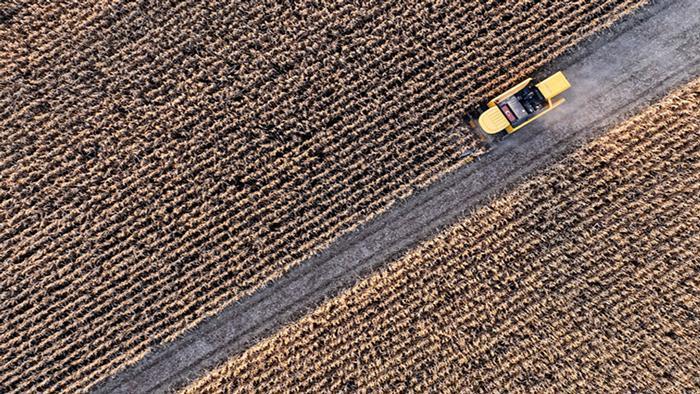 TÜİK Tarım-GFE Temmuz Raporu: Ay Basında ve Yıllık Değişimler