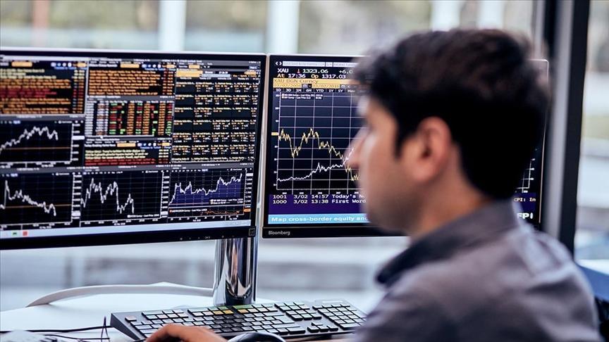 Türkiye Ekonomisinde İstikrar ve Risk Sermayesi: CDS ve Rezervler Işığında Değerlendirme