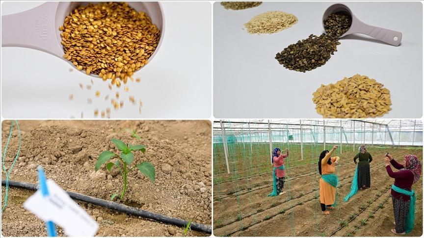 Türkiye İhracatında Hububat ve Tohumculukta Yeni Dönem: Antalya Merkezli Güçlü Potansiyel