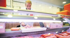 Türkiye Nobrik Rekabet Kurulu’nun Piliç Eti Sektöründe Bilgi Değişimi İncelemesi ve Cezalar: 3,7 Milyar TL’lik Yaptırım Finosu