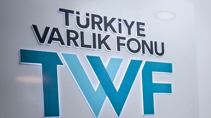 Türkiye Varlık Fonu 2024 Sonuçları ve 2025 Yol Haritası: Uluslararası Piyasaların Yükselen Gücü