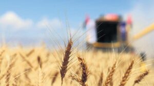 Türkiye–BM İş Birliğinde Yeni Aşama: WFP Operasyonlarında Stratejik Rol ve Taahhütler