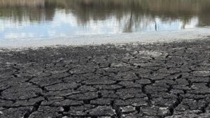 Türkiye’de Kuraklık Gidişatını Bölgesel Analizlerle İnceleyen Standartlaştırılmış Yağış-Evapotranspirasyon İndeksi