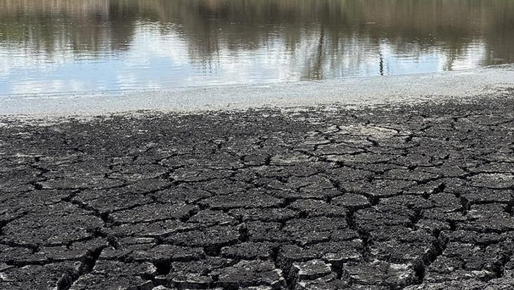 Türkiye’de Kuraklık Gidişatını Bölgesel Analizlerle İnceleyen Standartlaştırılmış Yağış-Evapotranspirasyon İndeksi