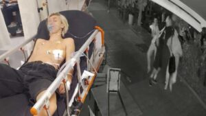 Ukrayna Uyruklu Çocuk Parkta Yaşanan Bıçaklı Saldırının Detayları