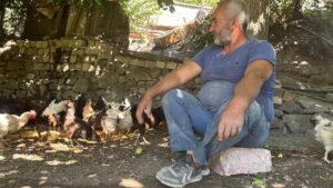 Ulukent Mahallesi’nde Tilki Saldırıları: Gündüzleri Nöbet, Kayıplar Devam Ediyor