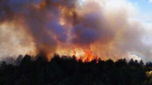 Yangın Tehlikesi: Enerji Kesintisiyle Başlayan ve Hızla Yayılan Ateşin Müdahale Süreci