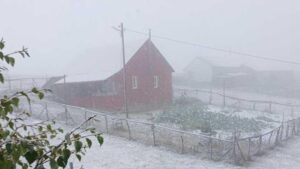 Yayla Mahsuru: Avusor Üzerindeki Kar Zamanında Dayanışma ve Kurtarma