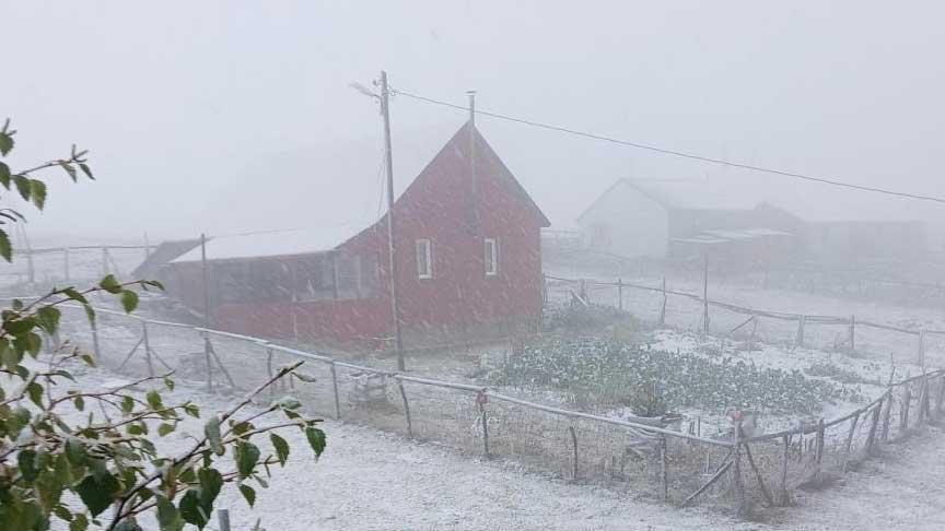 Yayla Mahsuru: Avusor Üzerindeki Kar Zamanında Dayanışma ve Kurtarma
