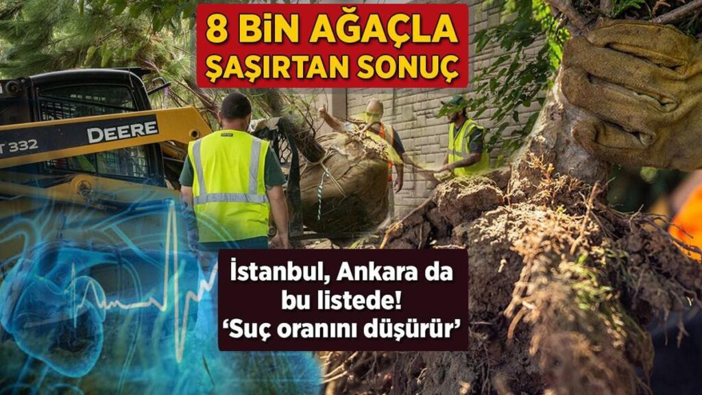 Yeşilin Kalbe Dokunan İzleri: Green Heart Louisville Projesi ve Sağlık Üzerindeki Etkileri