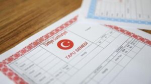 65 Yaş ve Üzeri Tapu Başvurularında Sağlık Raporu İsteğine Dair Net Açıklama ve İstatistikler