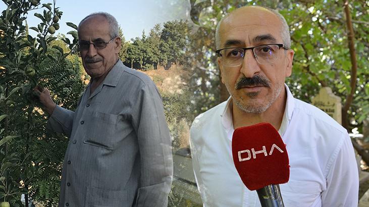 Abdülhamit Saidoğlu Hatıra Ormanı: Ağaçlarla Yaşayan Bir Miras