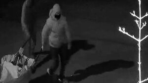 Adana Olayı: Girişimciye Yönelik Hırsızlık ve DNA Sonuçları