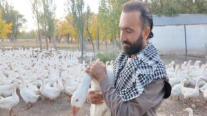 Ağrı’da Kanatlı Dostlarla Kurulan Sıcak Bağ