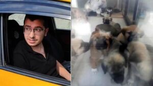 Ankara’da Köpek Katliamı Davasında Yeni Gelişmeler ve Karar