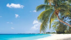 ATV ve Finansal Kâr İşlemlerinde Uygulanabilirlik Rehberi: Döviz, Faiz Swapı ve Rüşvet Düzenlemeleri